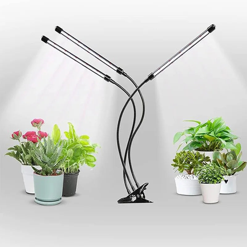 Indoor Plant LED Grow Light - Desk Lamp with Timer & Clip