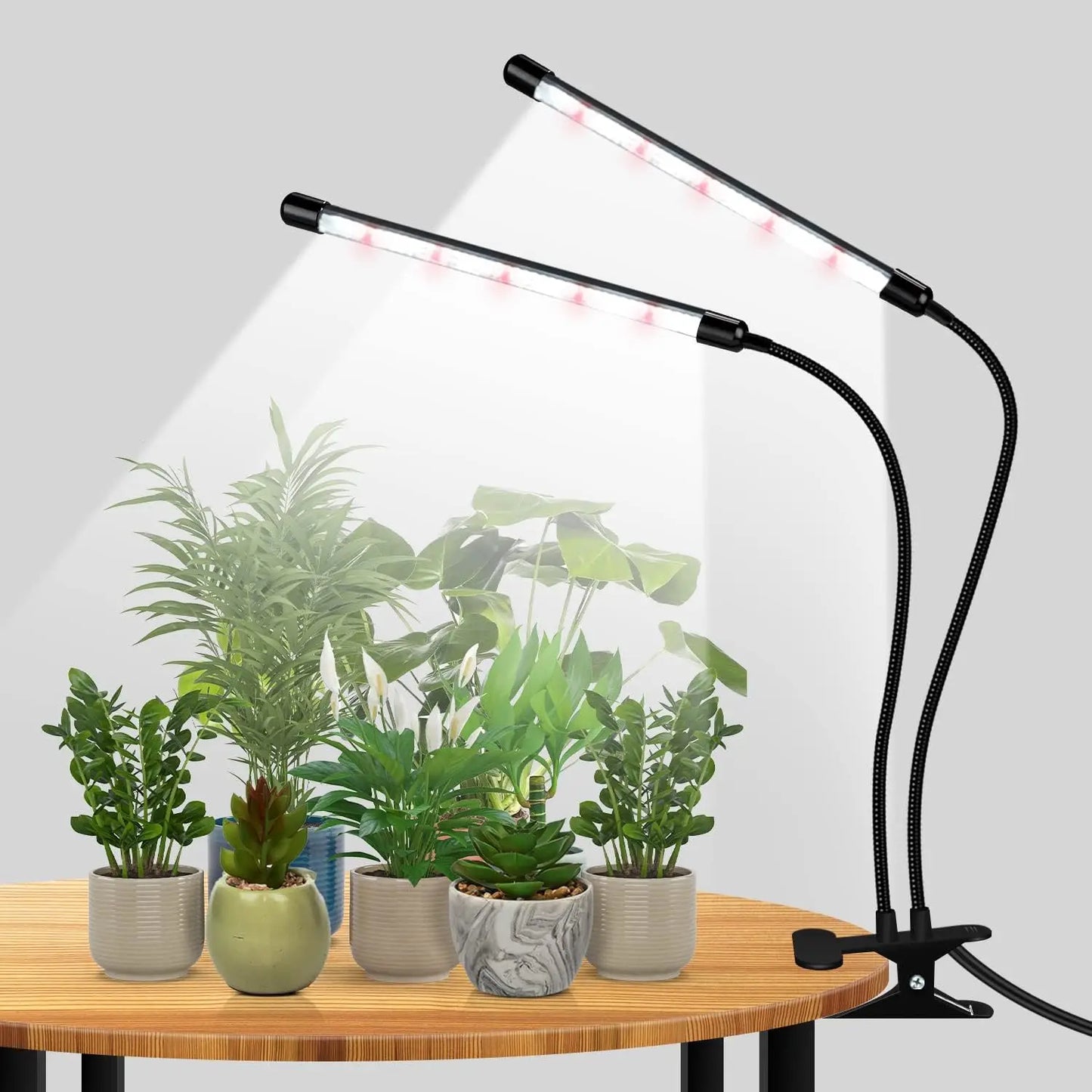 Indoor Plant LED Grow Light - Desk Lamp with Timer & Clip