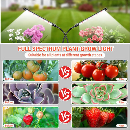 Indoor Plant LED Grow Light - Desk Lamp with Timer & Clip