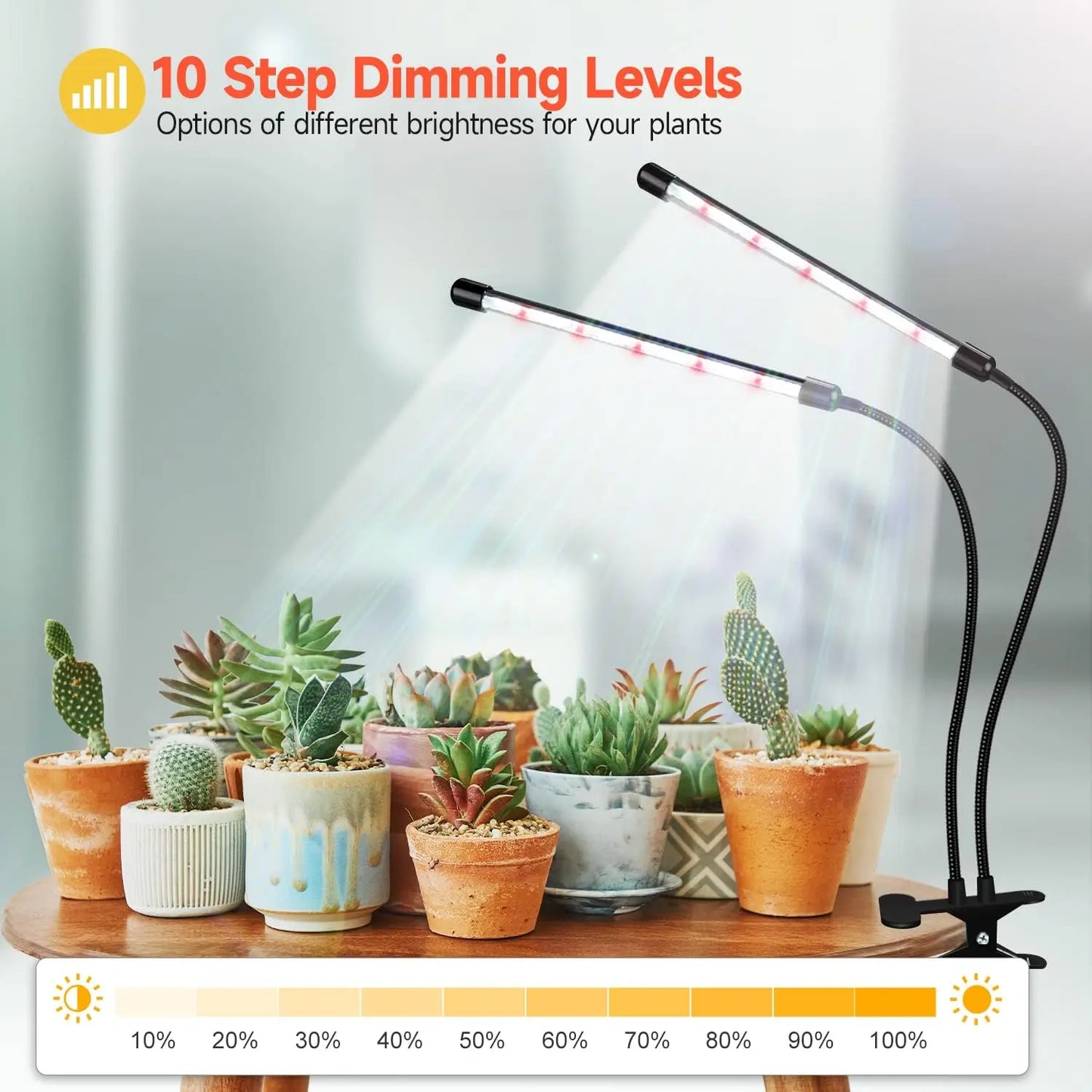 Indoor Plant LED Grow Light - Desk Lamp with Timer & Clip